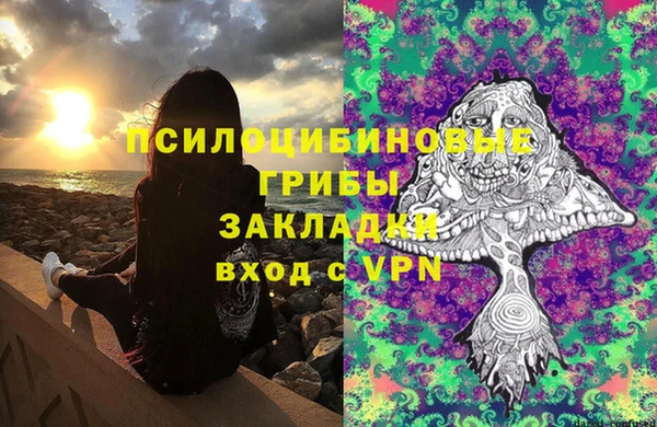 мет Алексин
