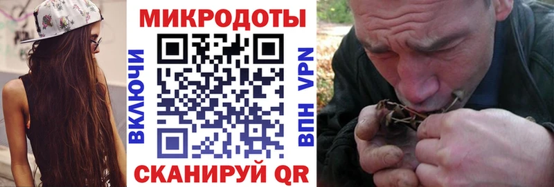 сколько стоит  Киселёвск  Галлюциногенные грибы Psilocybe 