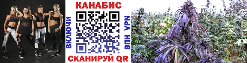 Конопля Amnesia Киселёвск